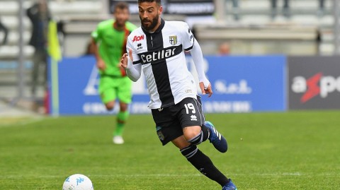 深度盘点：2026赛季五位“涅托球员资料”全揭秘，谁是你心中的草根英雄？